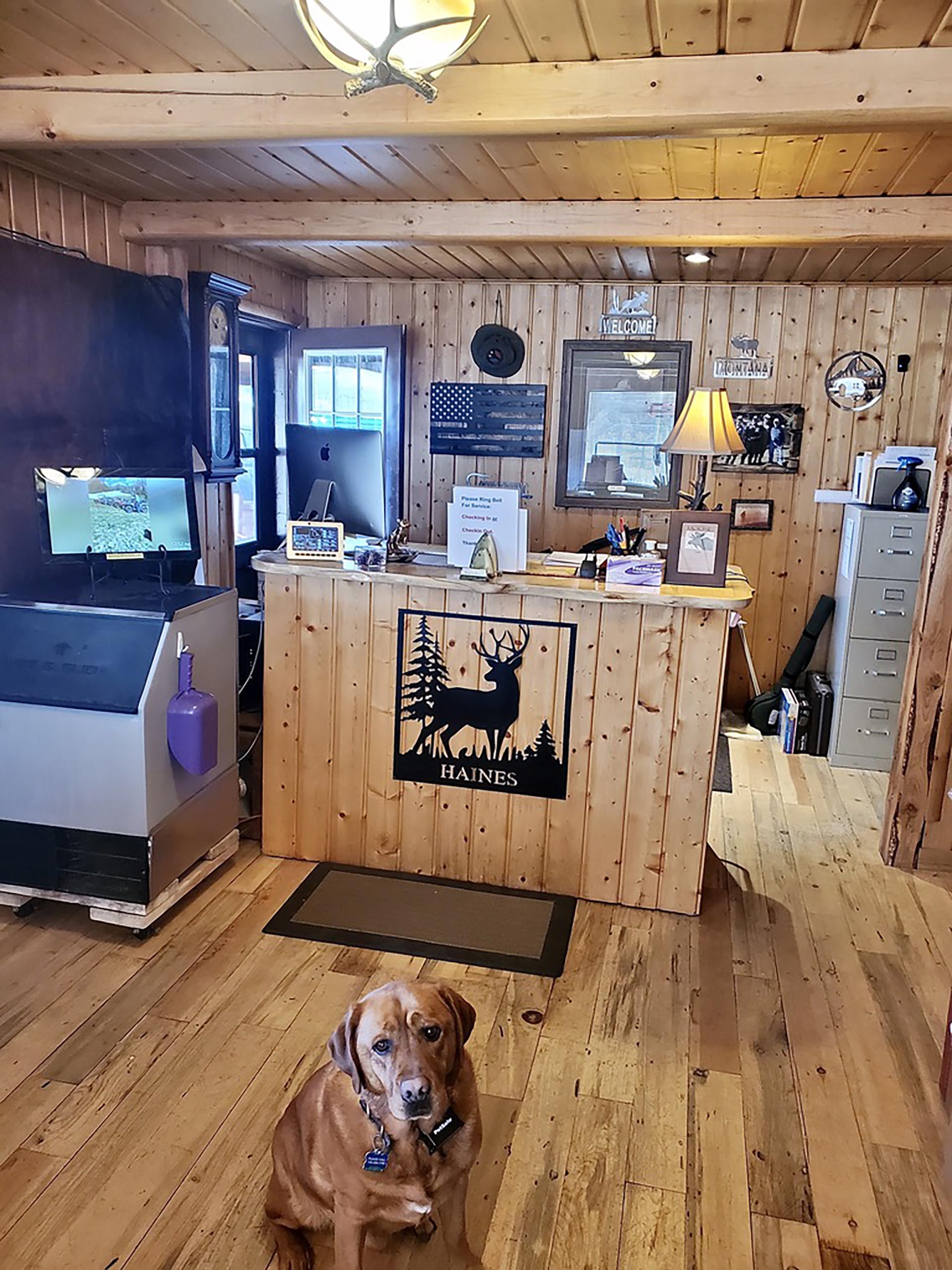 business for sale melrose mt 540 main st retail shopping endstate commercial partners